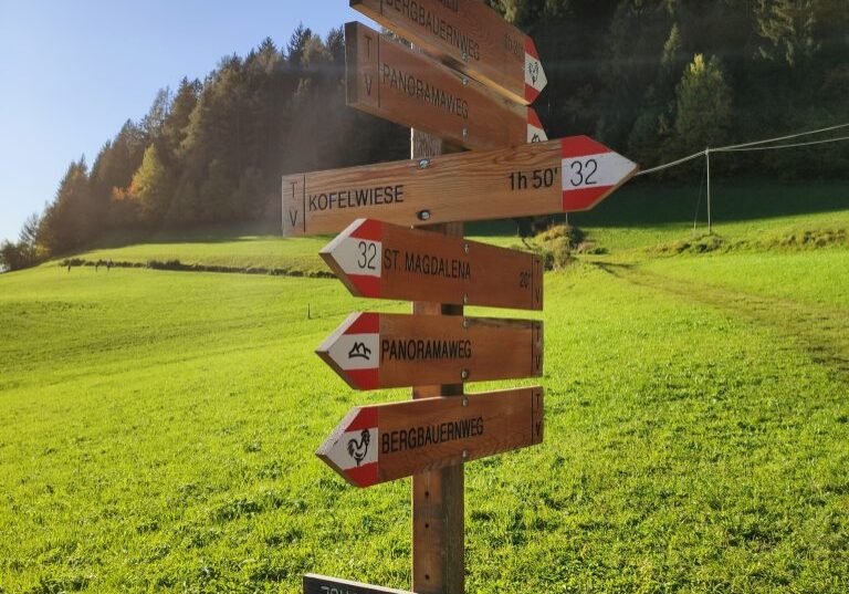 pexels-sergey-nikolaev-3146818